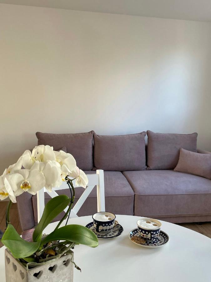 Apartament -Dwudziestka Sandomierz Ngoại thất bức ảnh